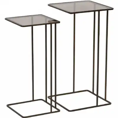Gold Metal Nest of 2 Tables with Tinted Glass