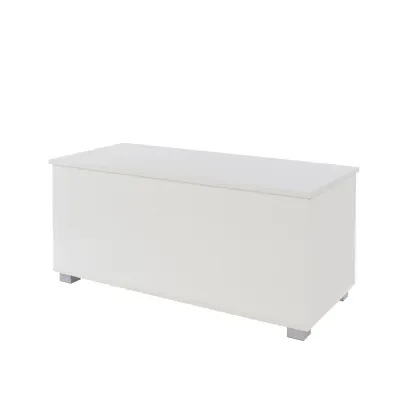 White High Gloss Wooden Storage Trunk Blanket Bed Box